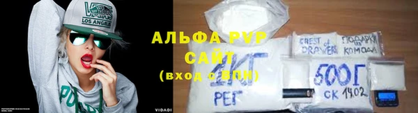 ПСИЛОЦИБИНОВЫЕ ГРИБЫ Кукмор