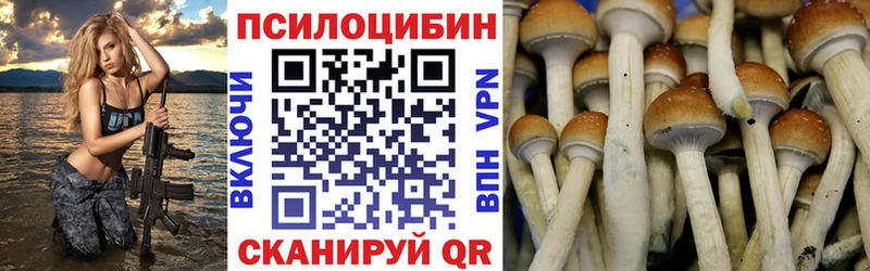 где купить наркоту  Асино  Галлюциногенные грибы прущие грибы 