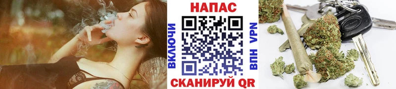 Канабис планчик МЕГА ссылка Асино